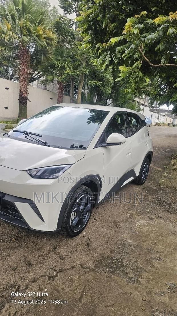 New BYD Seagull 2025 White