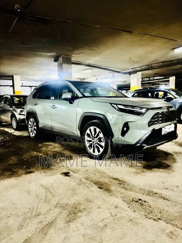 New Toyota RAV4 2024 Gray