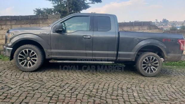 Ford F-150 2016 Gray