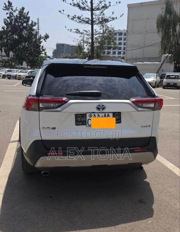 Toyota RAV4 2023 White
