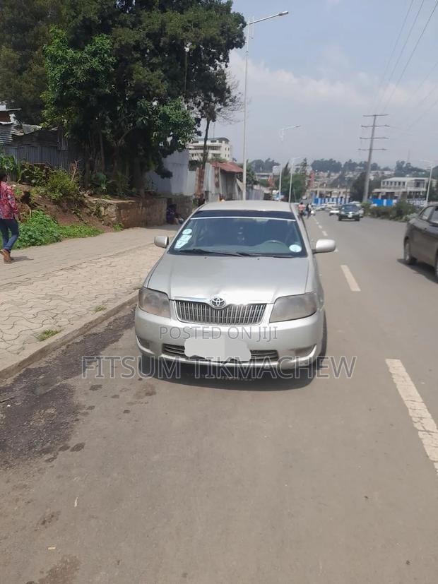 Toyota Corolla 2005 Gray
