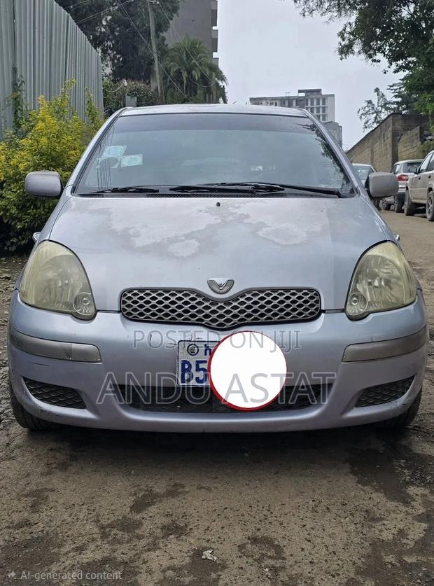 Toyota Vitz 2004 Purple