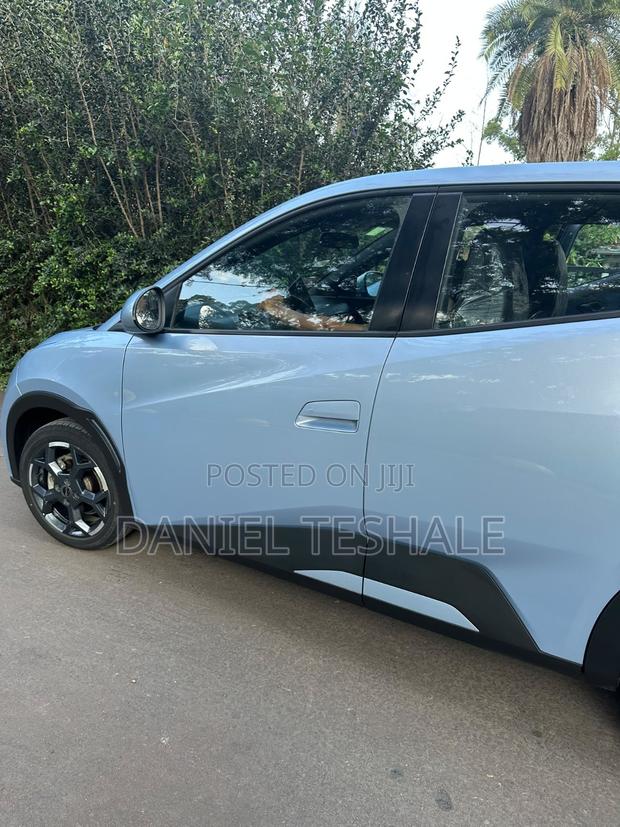 New BYD Seagull 2025 Blue