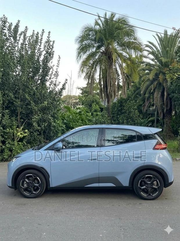 New BYD Seagull 2025 Blue