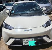 BYD Seagull 2025 White for sale