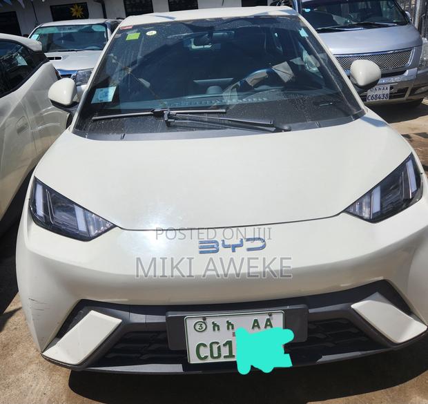 BYD Seagull 2025 White