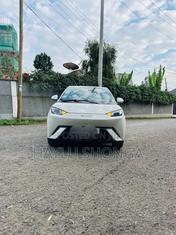 BYD Seagull 2024 Silver