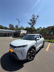 New BYD Yuan Up 2025 White for sale