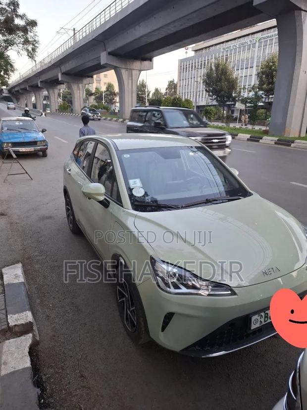 Hozon Neta Aya 2024 Green