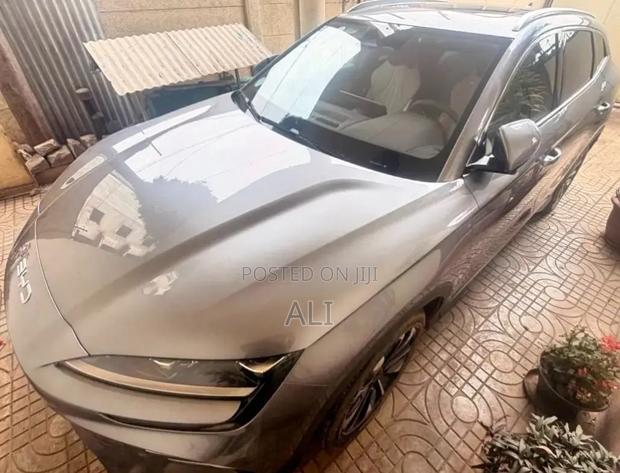BYD Song Plus 2024 Gray