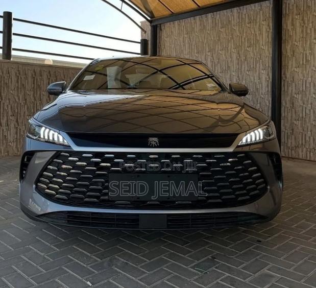 New BYD Qin Plus DM-i 2025 Gray