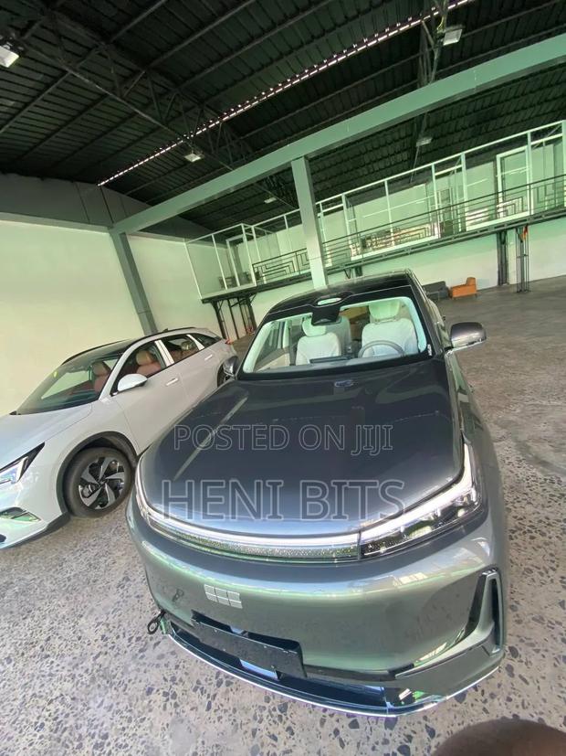 New Car 2025 Brown