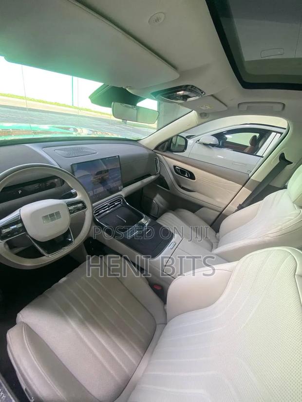 New Car 2025 Brown