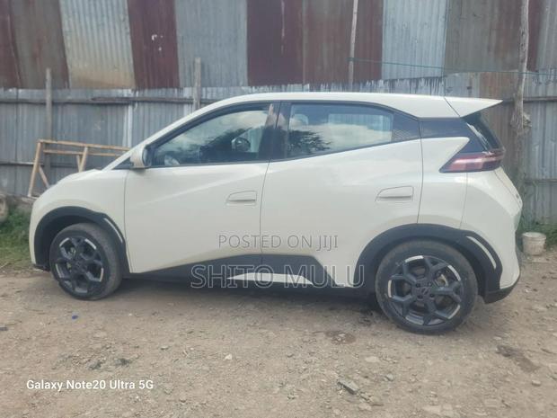 BYD Seagull 2025 White