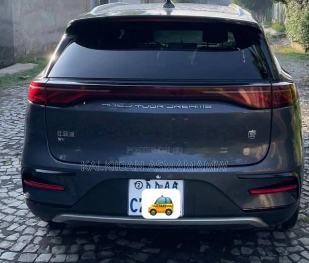 BYD Tang DM-i 2024 Gray