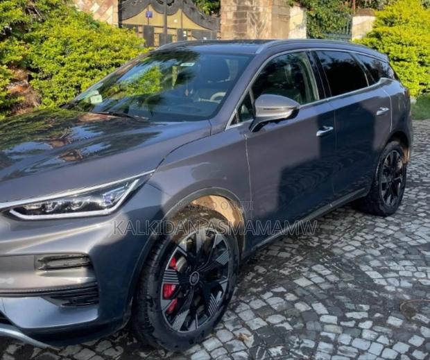 BYD Tang DM-i 2024 Gray