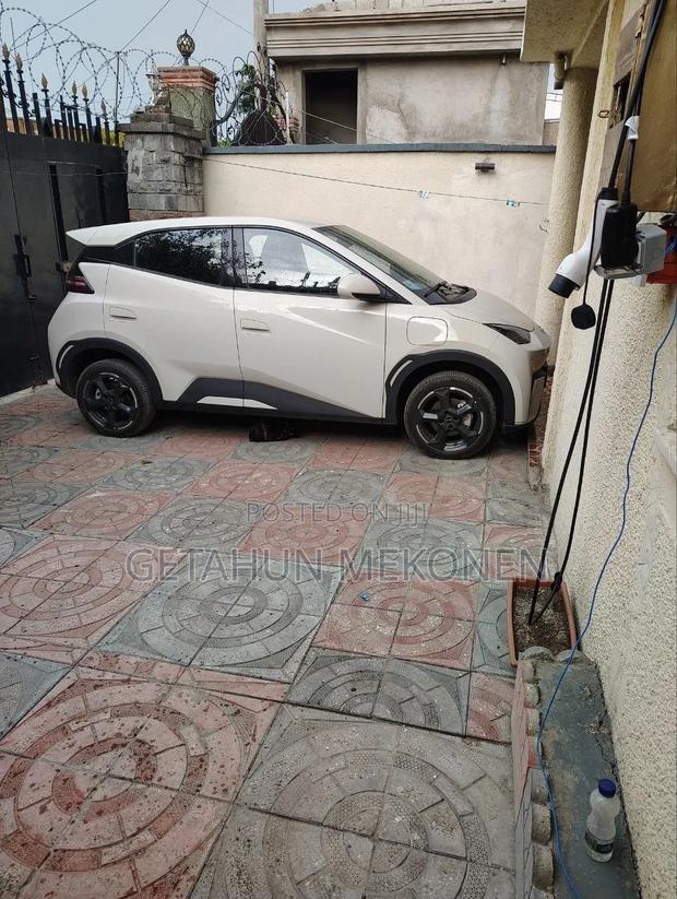 BYD Seagull 2024
