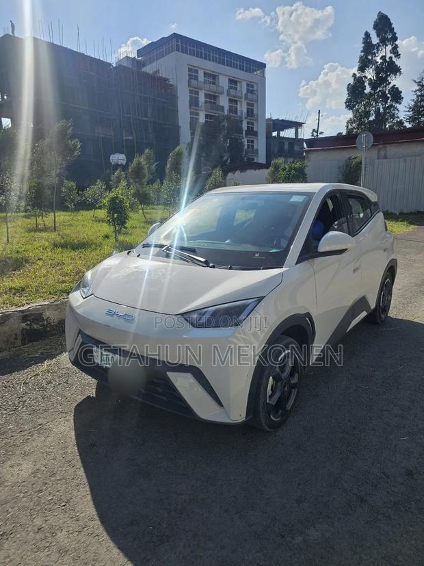 BYD Seagull 2024