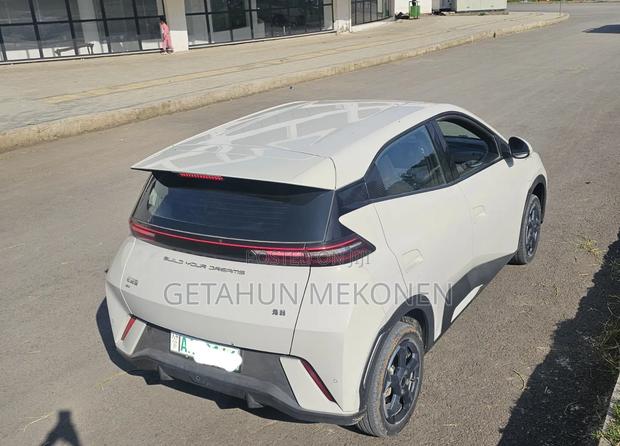 BYD Seagull 2024