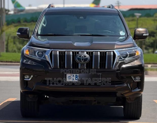 Toyota Land Cruiser 2019 Brown