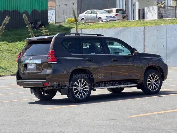 Toyota Land Cruiser Prado 2019 Brown