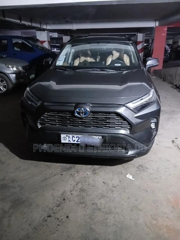 Toyota RAV4 2022 Gray