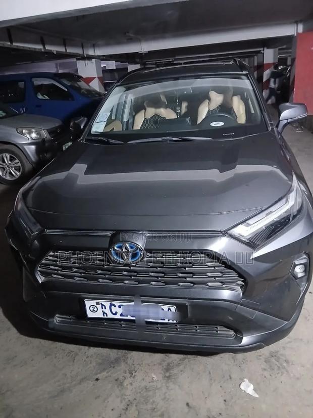 Toyota RAV4 2022 Gray