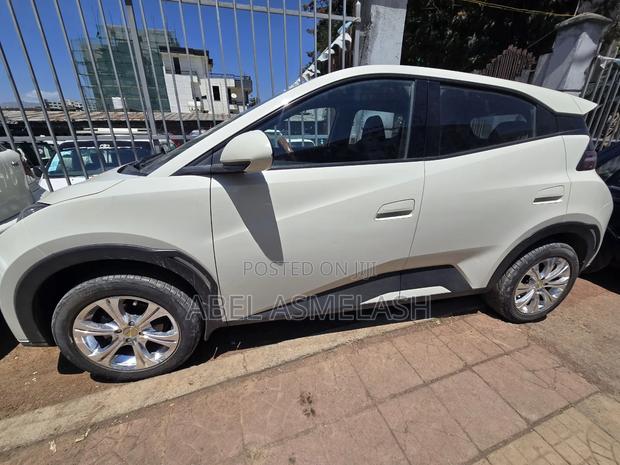 BYD Seagull 2024 White