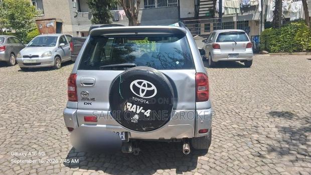 Toyota RAV4 2004 Gray