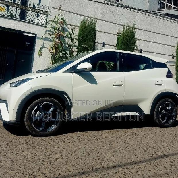New BYD Seagull 2025 White