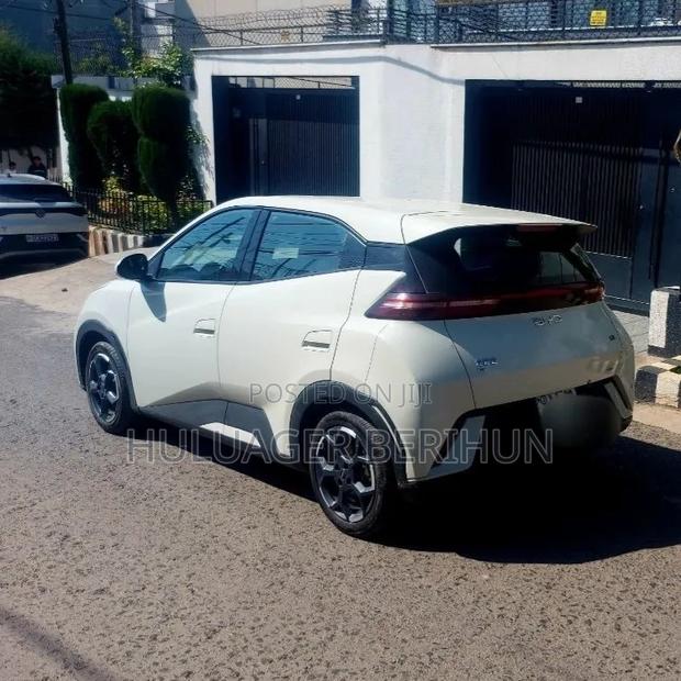 New BYD Seagull 2025 White