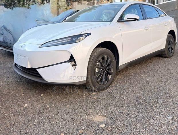 New BYD Leopard 7 2026 Gray