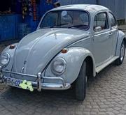 Volkswagen Beetle Cabriolet 1966 Gray for sale