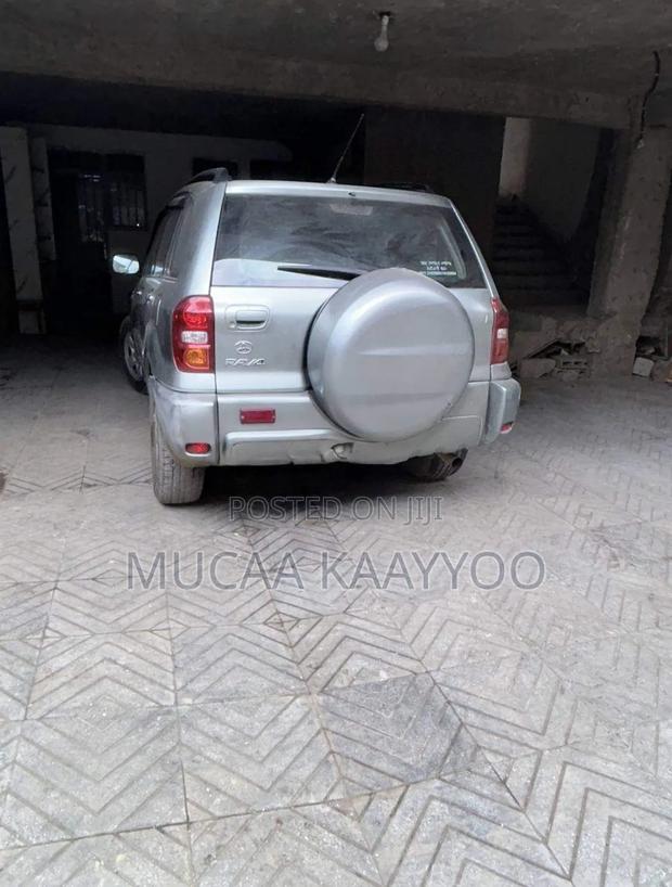 Toyota RAV4 2004 Gray