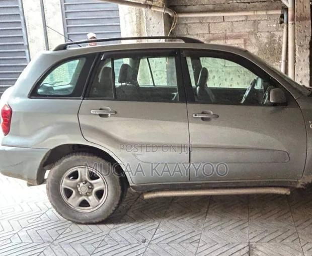Toyota RAV4 2004 Gray