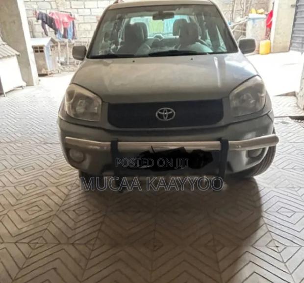 Toyota RAV4 2004 Gray