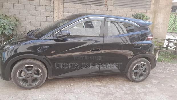 BYD Seagull 2024