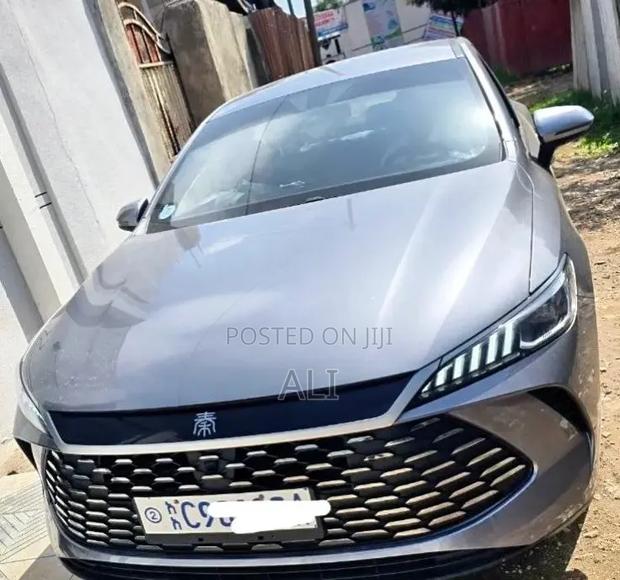 BYD Qin Plus DM-i 2025 Gray