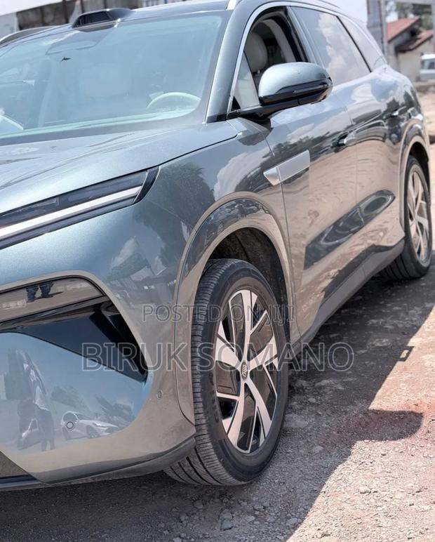 BYD Tang DM-i 2025