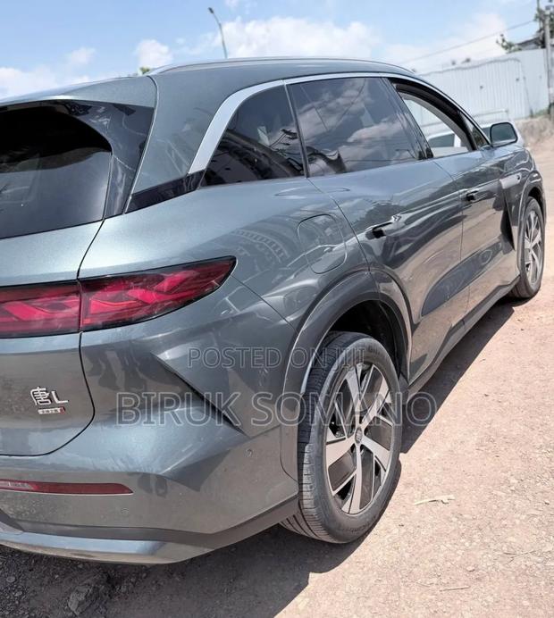 BYD Tang DM-i 2025