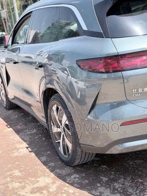 BYD Tang DM-i 2025