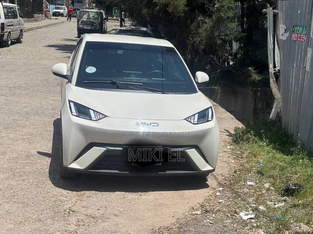 BYD Seagull 2025 White