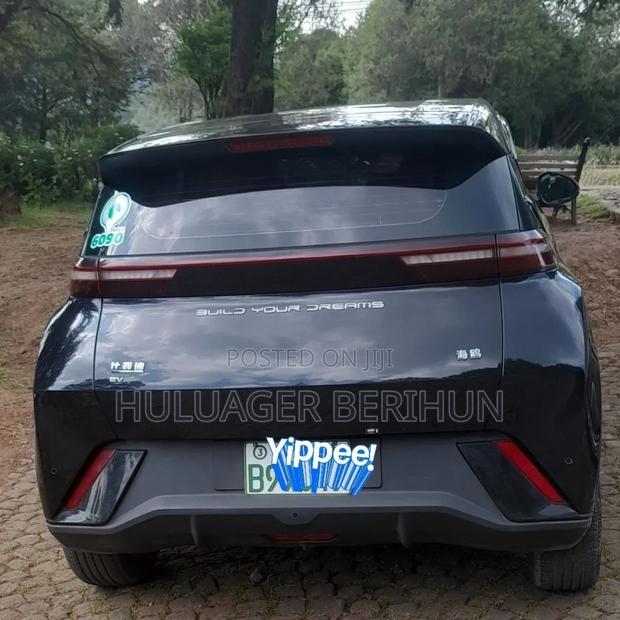 BYD Seagull 2024 Black