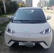 BYD Seagull 2024 White for sale