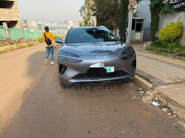 BYD Sealion 06 EV 2025 Gray