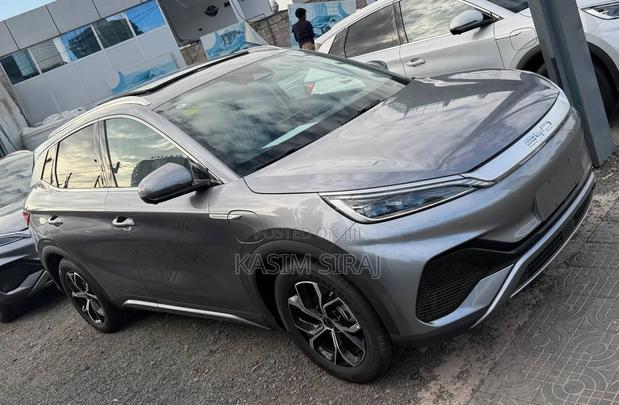 New BYD Yuan Plus 2025 Gray