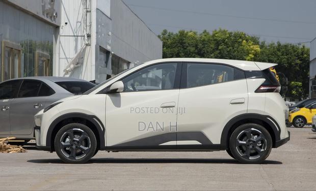 BYD Seagull 38 kWh FWD 2024 Ivory