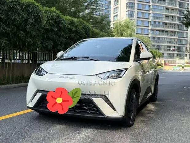 BYD Seagull 38 kWh FWD 2024 Ivory