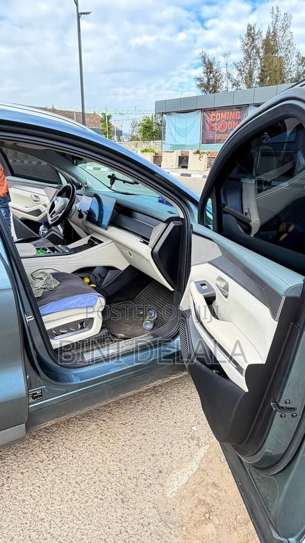 BYD Tang DM-i 2025 Green
