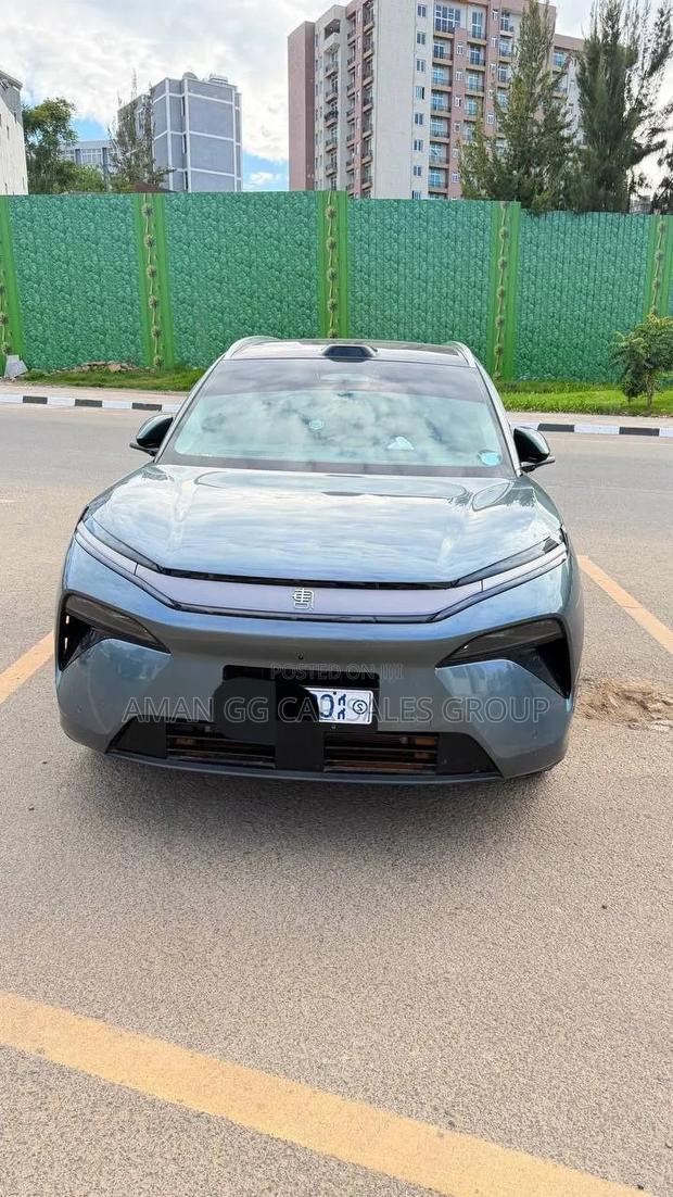 BYD Tang DM-i 2025 Green